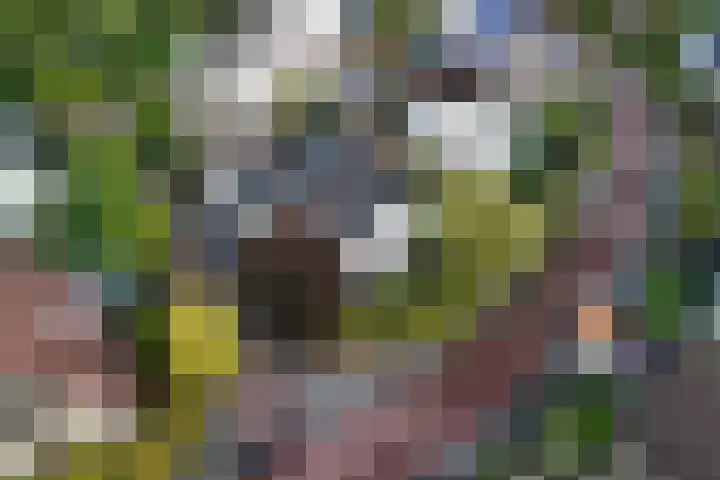 Goudvink 39 Rijssen thumbnail 39