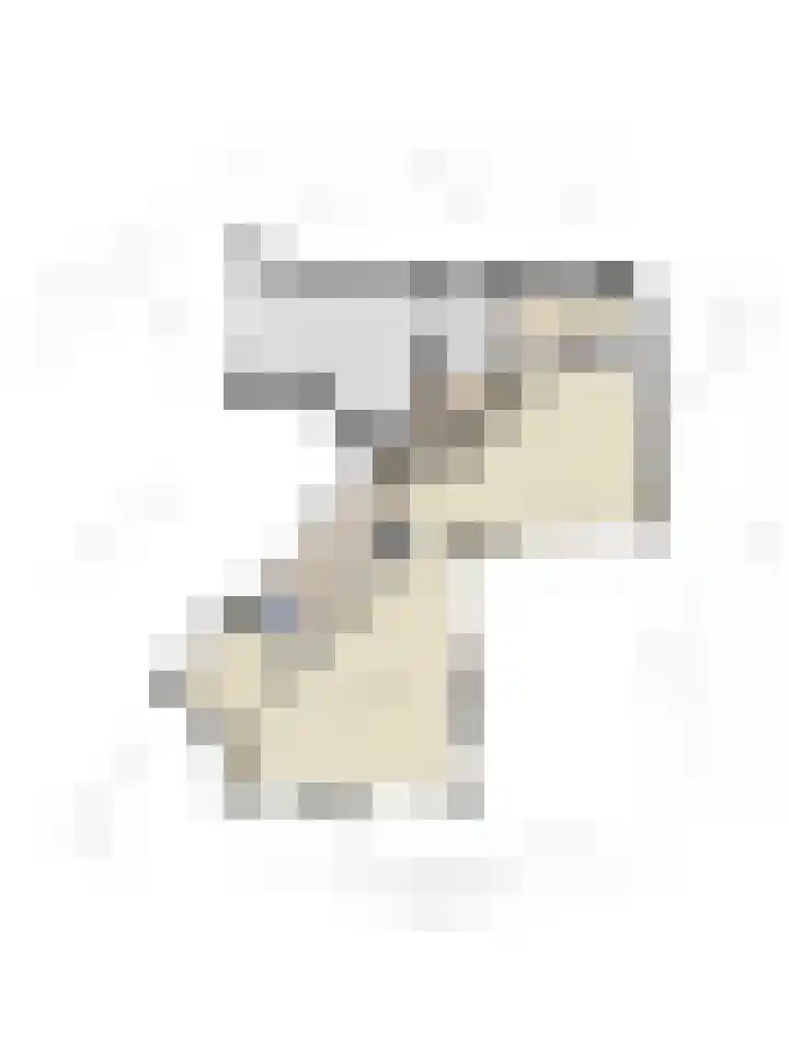 Goudvink 39 Rijssen thumbnail 40