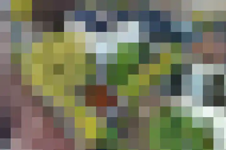 Goudvink 39 Rijssen thumbnail 6