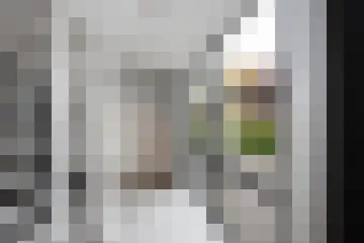 Goudvink 39 Rijssen thumbnail 8