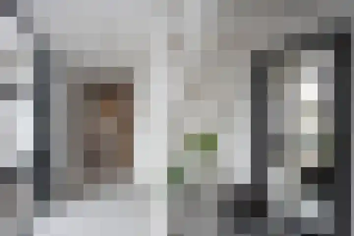 Goudvink 39 Rijssen thumbnail 9