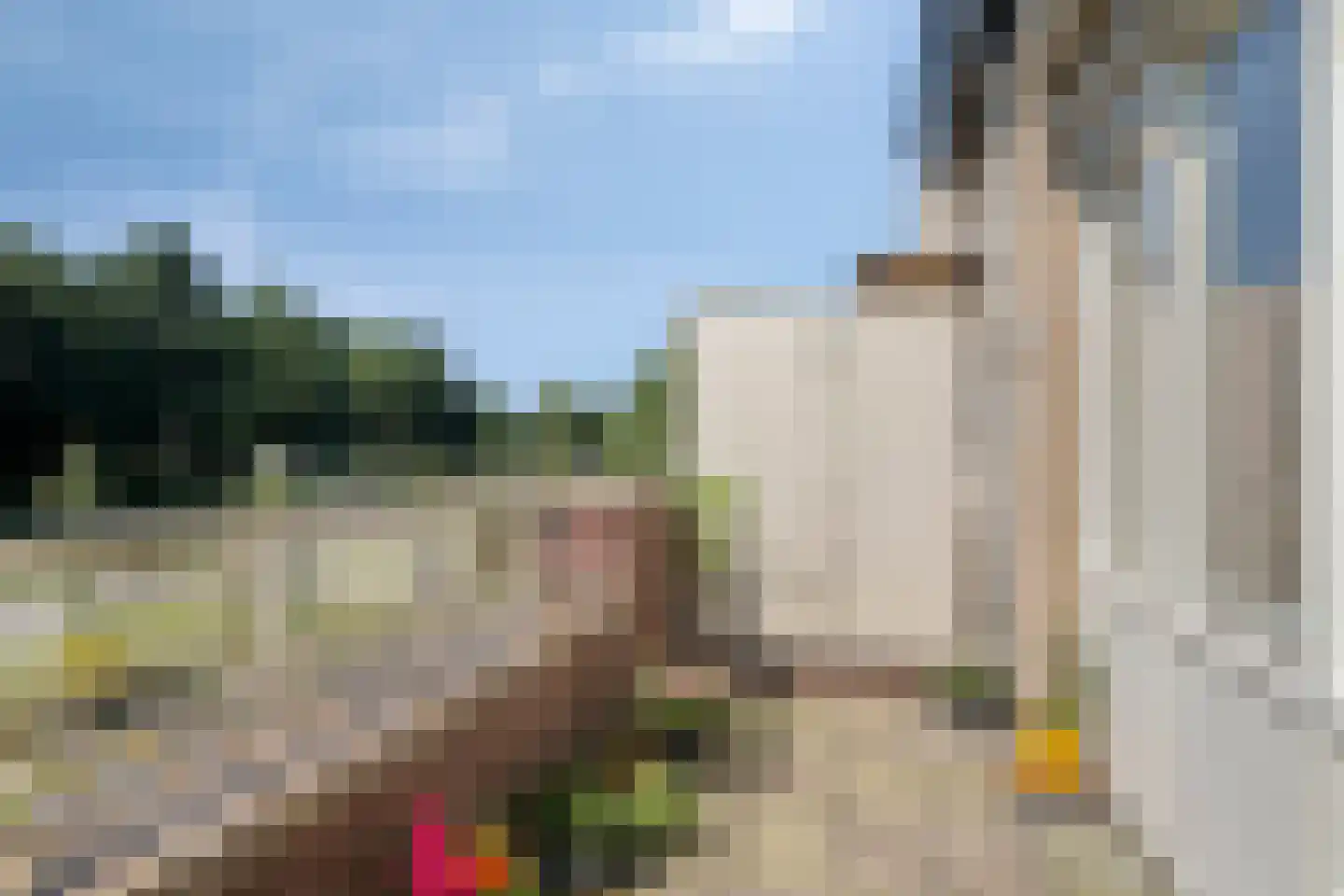 Goudvink 39 Soest thumbnail 10