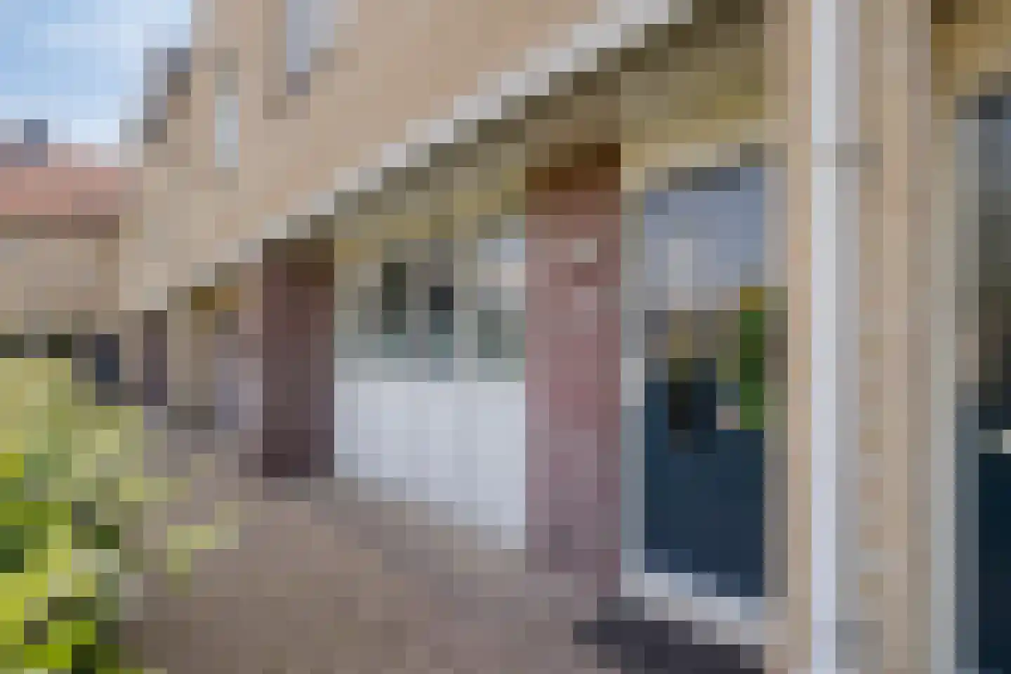 Goudvink 39 Soest thumbnail 28