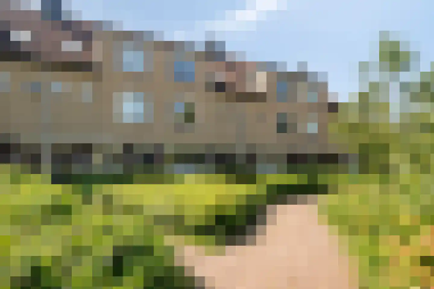 Goudvink 39 Soest thumbnail 30