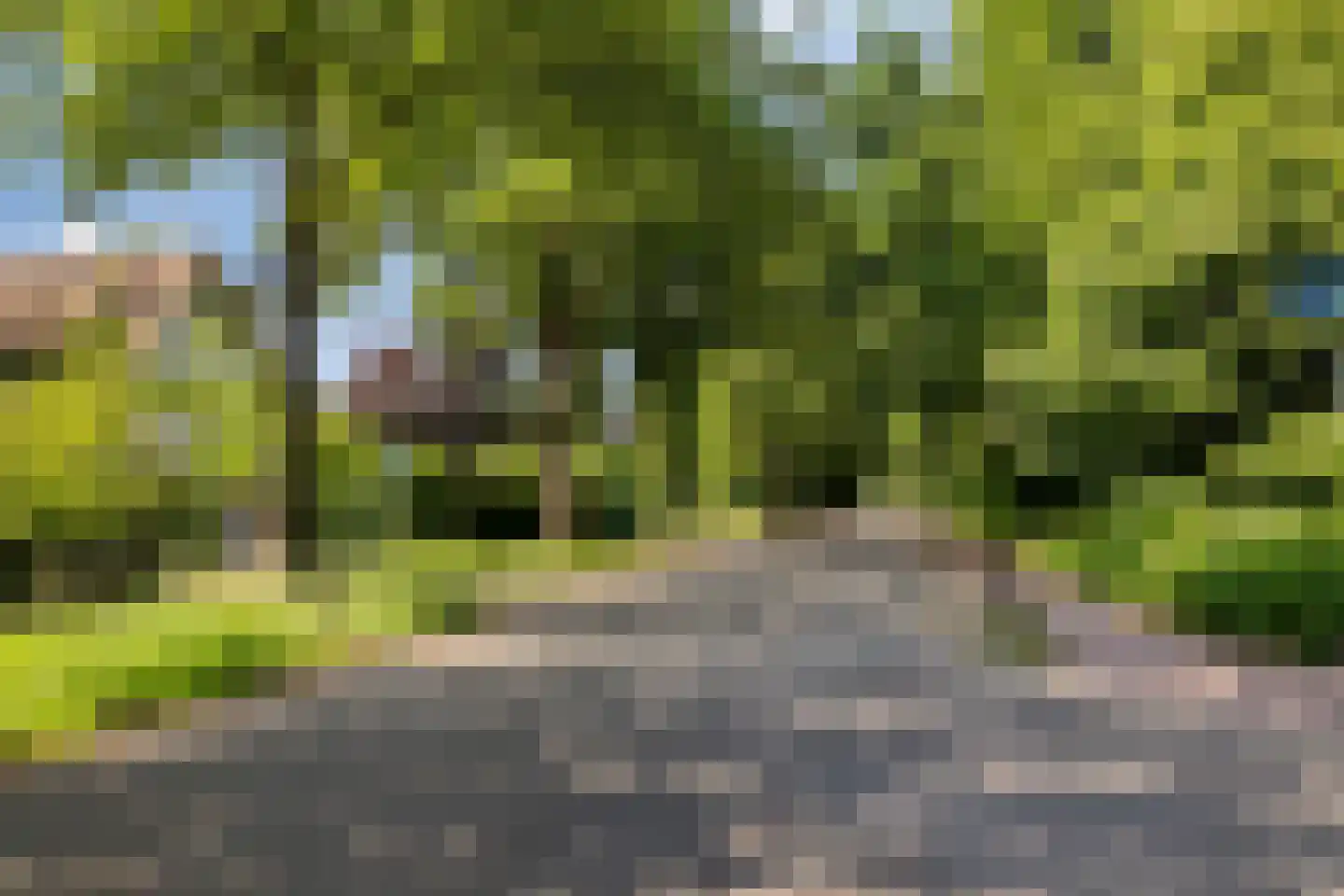 Goudvink 39 Soest thumbnail 33