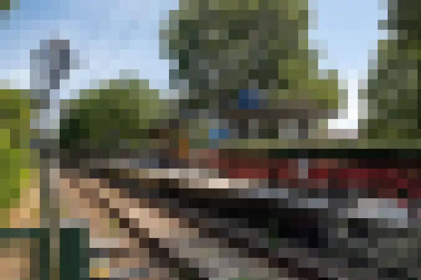 Goudvink 39 Soest thumbnail 35