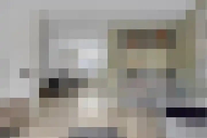 Goudvink 4 Bunschoten-Spakenburg thumbnail 10