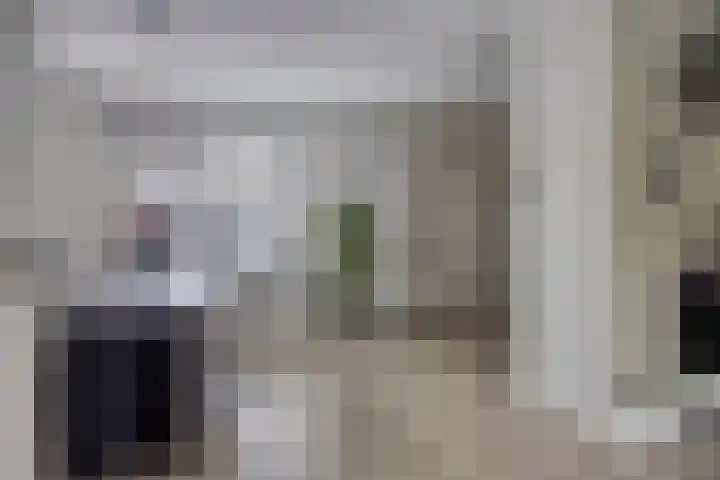 Goudvink 4 Bunschoten-Spakenburg thumbnail 11