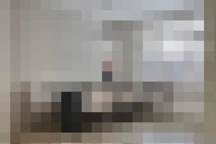 Goudvink 4 Bunschoten-Spakenburg thumbnail 12