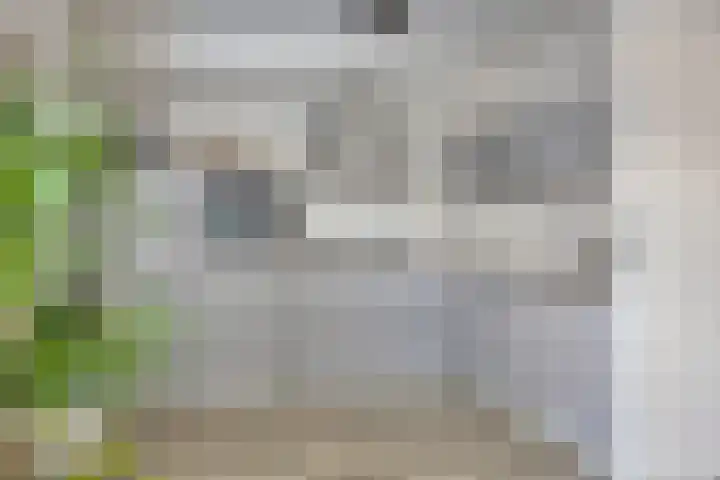 Goudvink 4 Bunschoten-Spakenburg thumbnail 13
