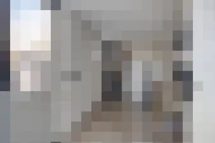 Goudvink 4 Bunschoten-Spakenburg thumbnail 15