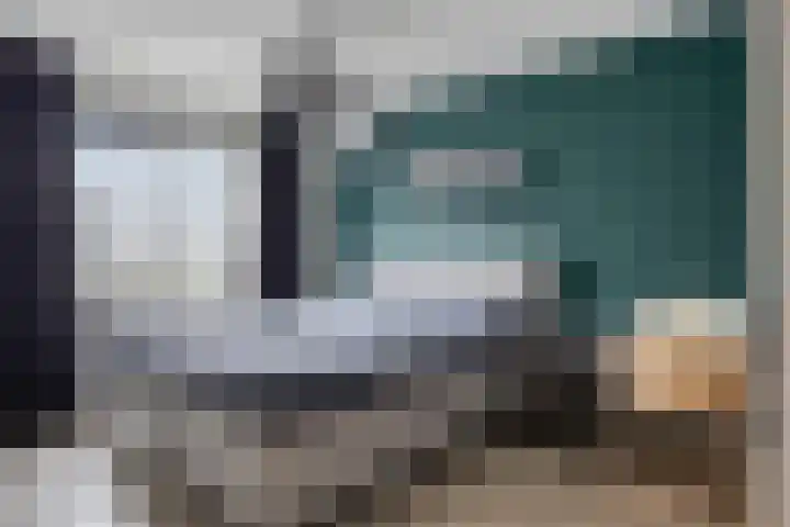 Goudvink 4 Bunschoten-Spakenburg thumbnail 18
