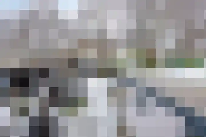 Goudvink 4 Bunschoten-Spakenburg thumbnail 23