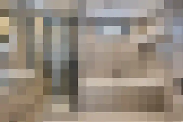 Goudvink 4 Bunschoten-Spakenburg thumbnail 25