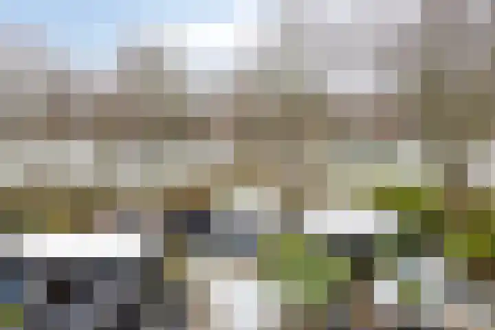 Goudvink 4 Bunschoten-Spakenburg thumbnail 32
