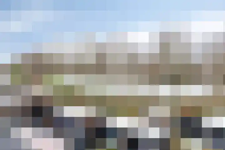 Goudvink 4 Bunschoten-Spakenburg thumbnail 33