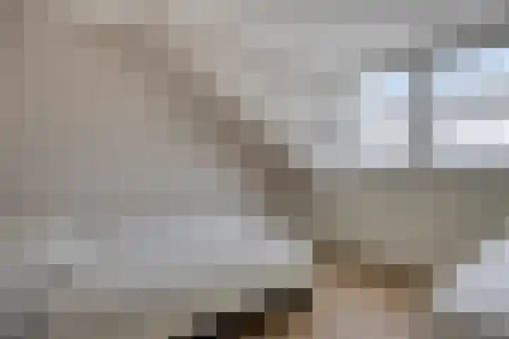 Goudvink 4 Bunschoten-Spakenburg thumbnail 35