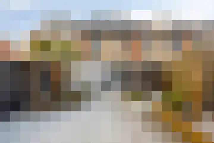 Goudvink 4 Bunschoten-Spakenburg thumbnail 37