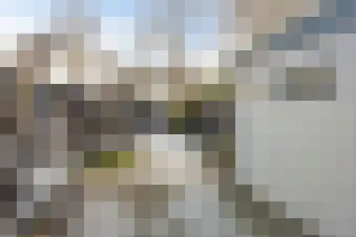 Goudvink 4 Bunschoten-Spakenburg thumbnail 38