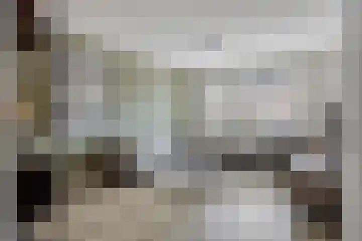 Goudvink 4 Bunschoten-Spakenburg thumbnail 4