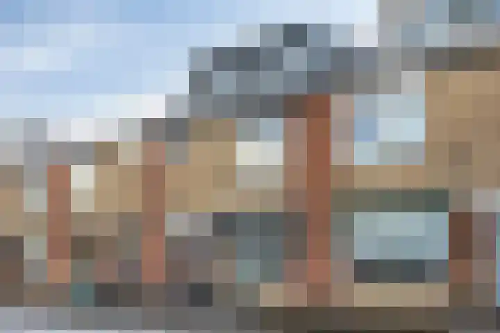 Goudvink 4 Bunschoten-Spakenburg thumbnail 5
