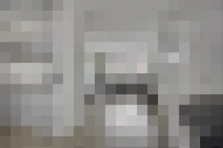 Goudvink 4 Bunschoten-Spakenburg thumbnail 7