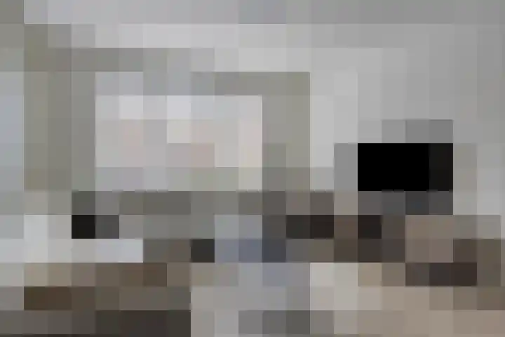 Goudvink 4 Bunschoten-Spakenburg thumbnail 9