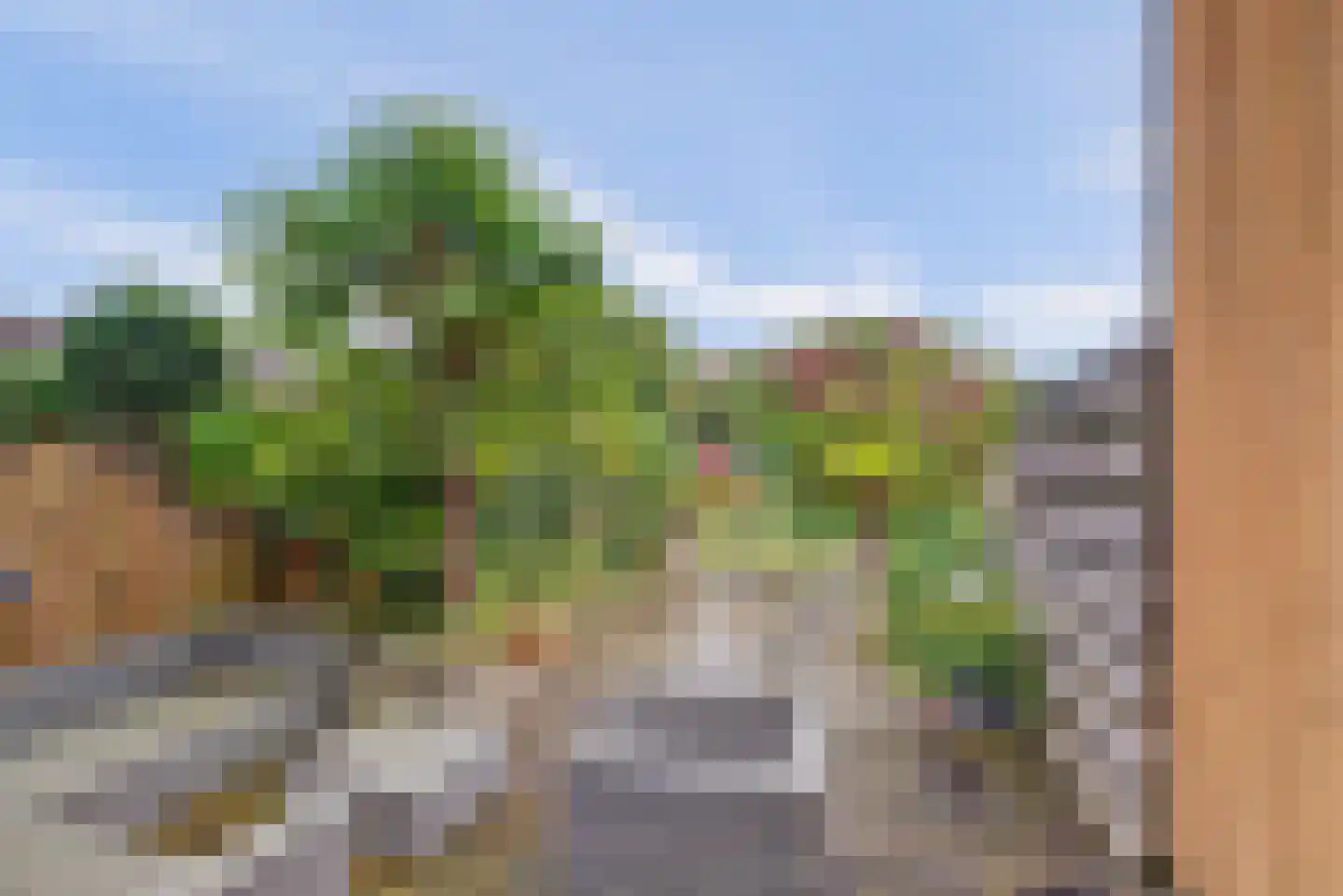 Goudvink 56 Nieuwegein thumbnail 27