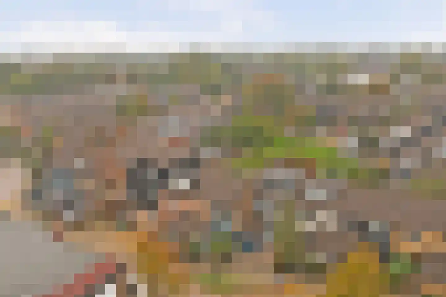 Goudvink 56 Nieuwegein thumbnail 31