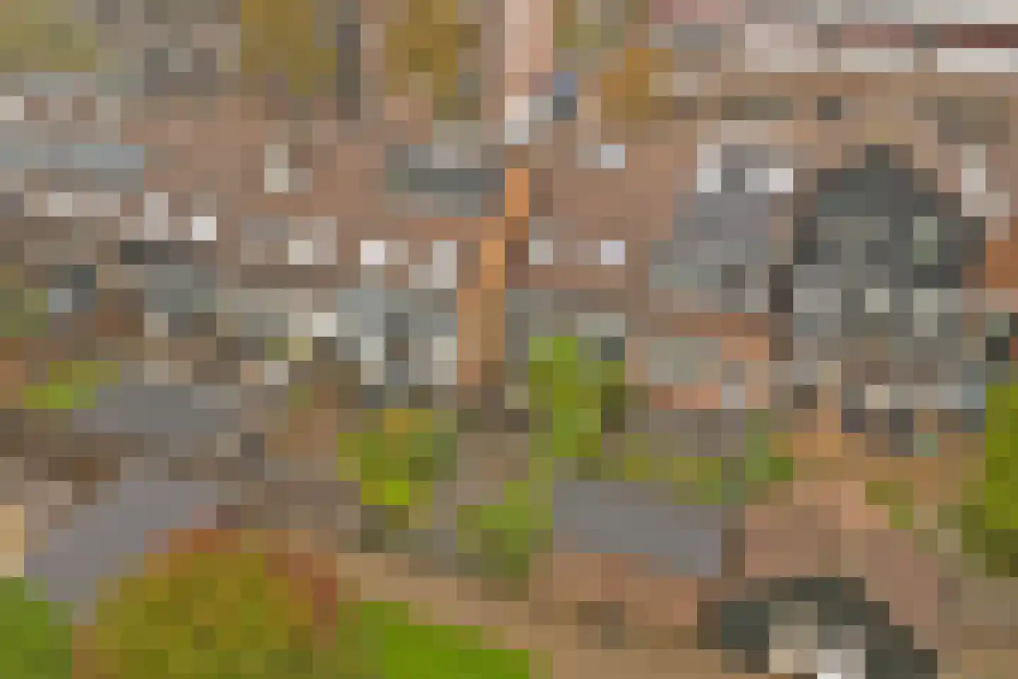 Goudvink 56 Nieuwegein thumbnail 34