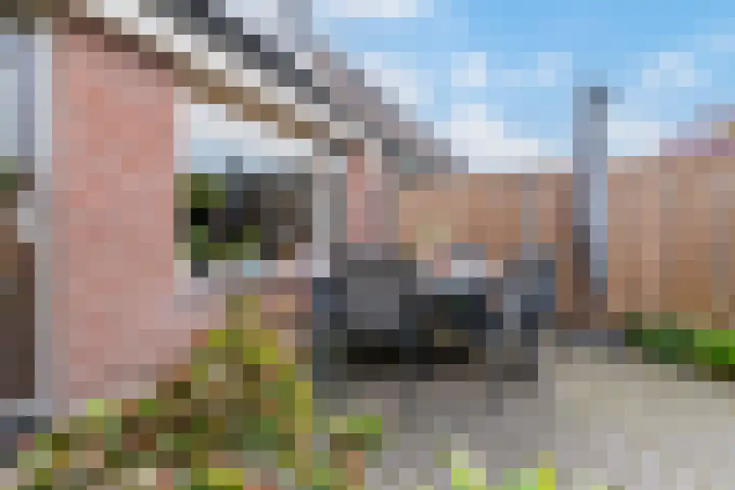 Goudvink 57 Veenendaal thumbnail 23