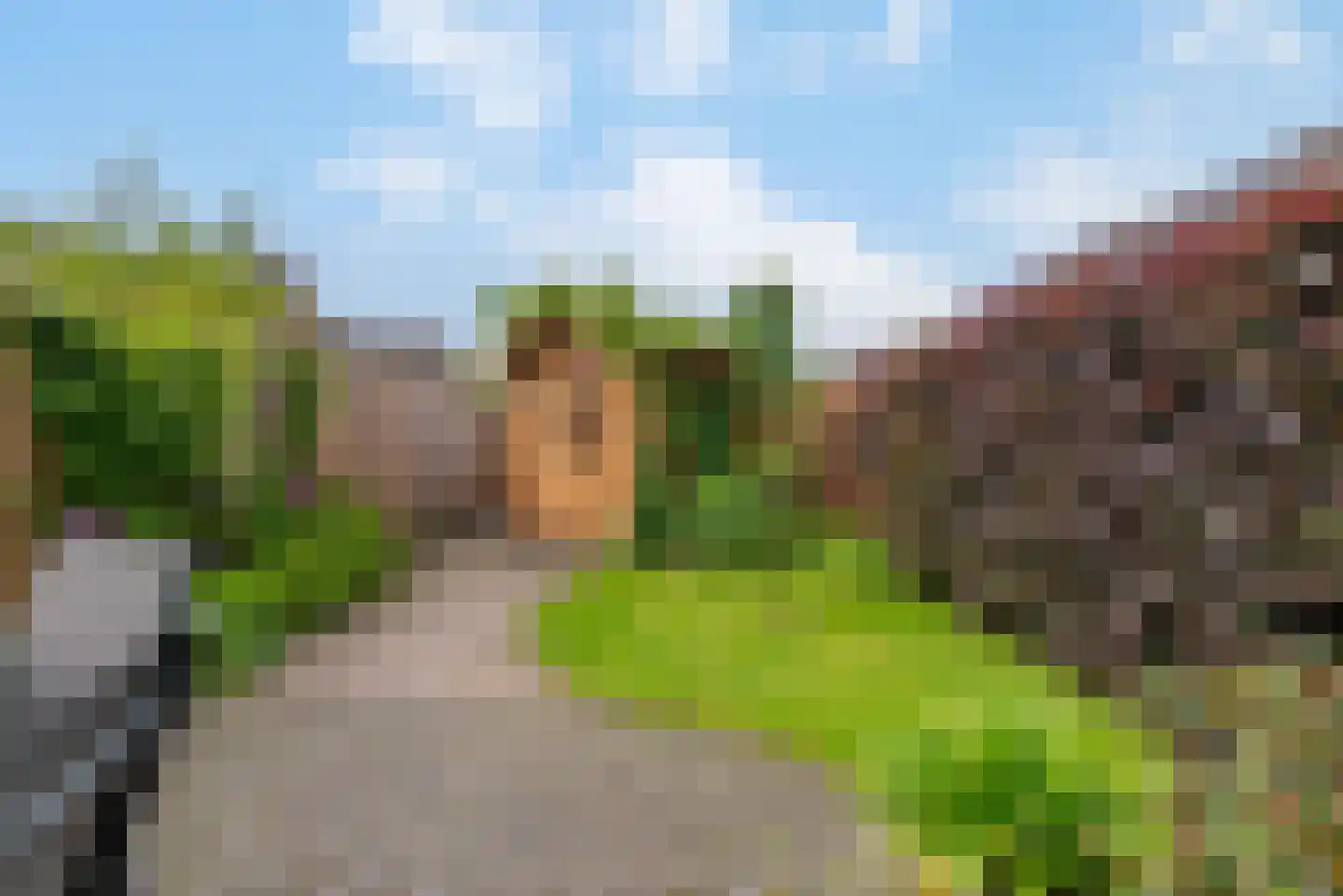 Goudvink 57 Veenendaal thumbnail 24