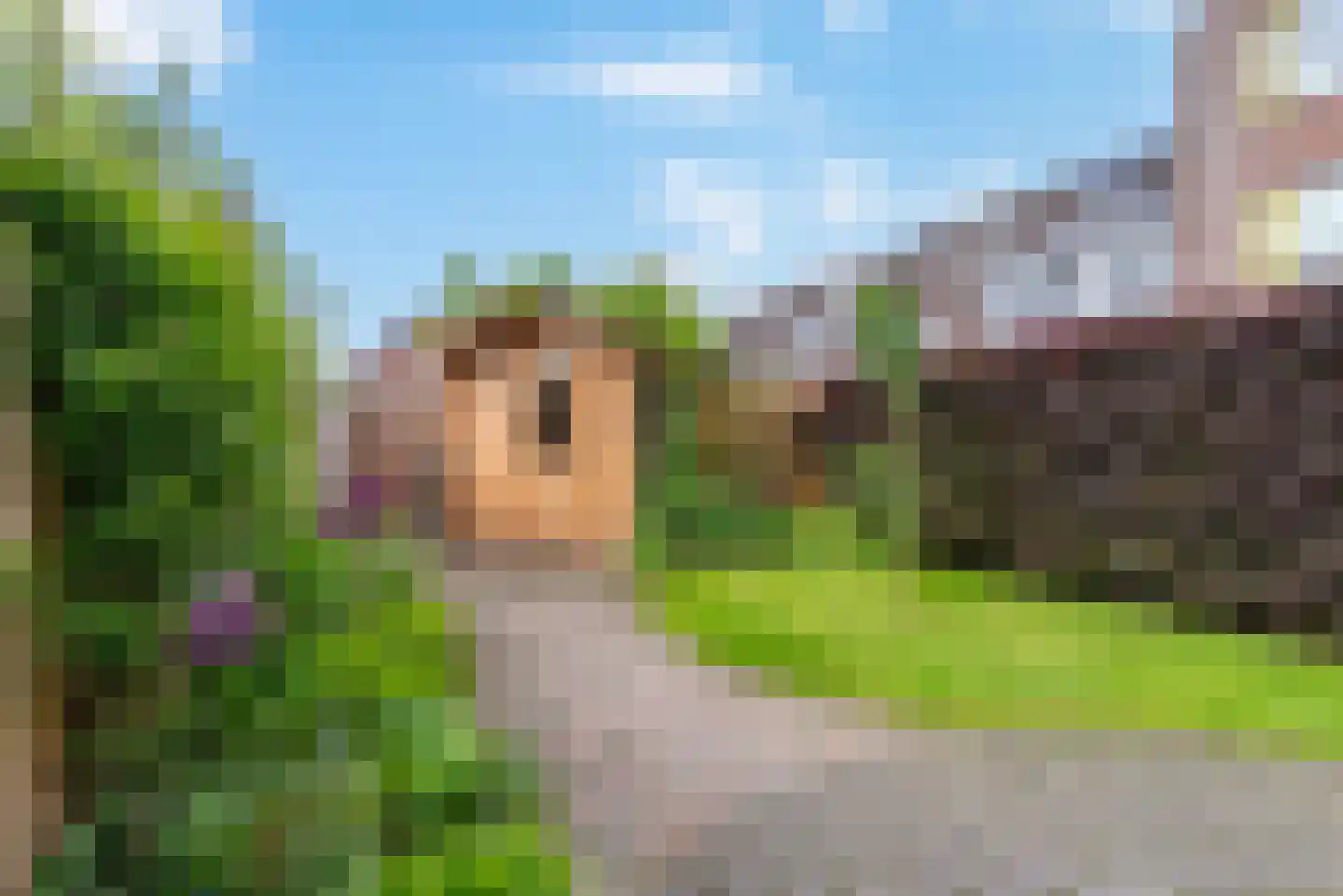 Goudvink 57 Veenendaal thumbnail 25