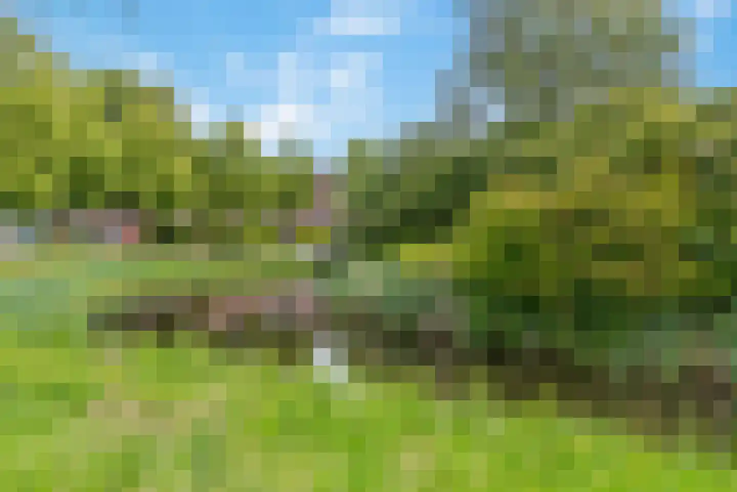 Goudvink 57 Veenendaal thumbnail 28