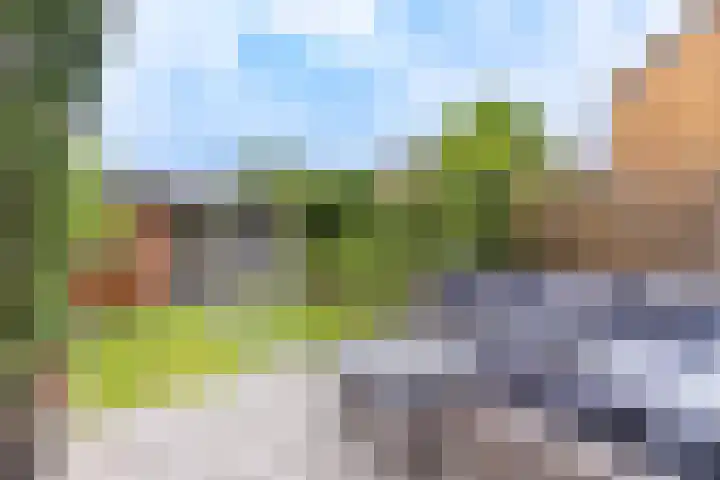 Goudvink 58 Nieuwegein thumbnail 14