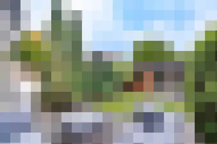 Goudvink 58 Nieuwegein thumbnail 15