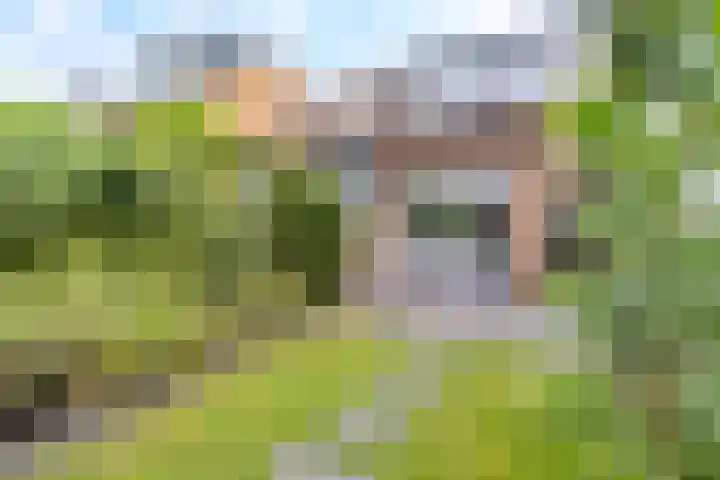 Goudvink 58 Nieuwegein thumbnail 17