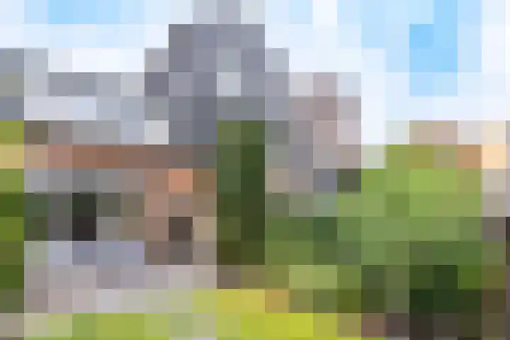 Goudvink 58 Nieuwegein thumbnail 19