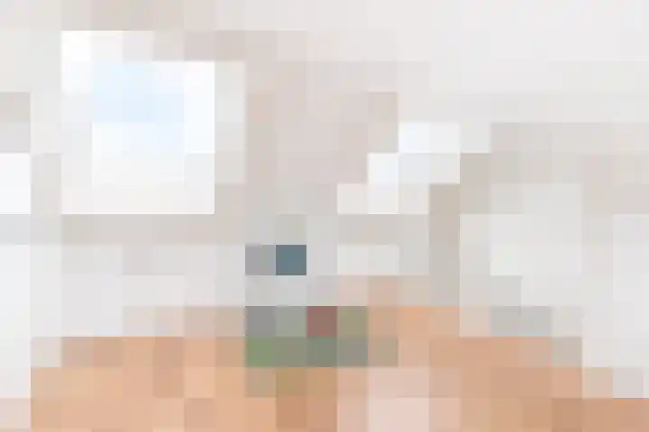 Goudvink 58 Nieuwegein thumbnail 31