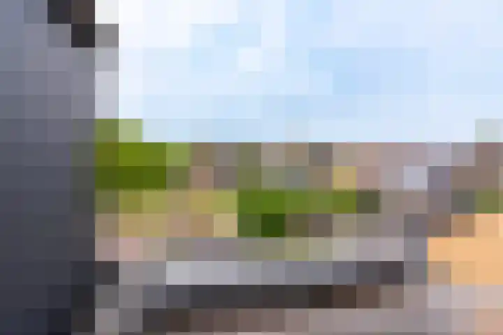 Goudvink 58 Nieuwegein thumbnail 32