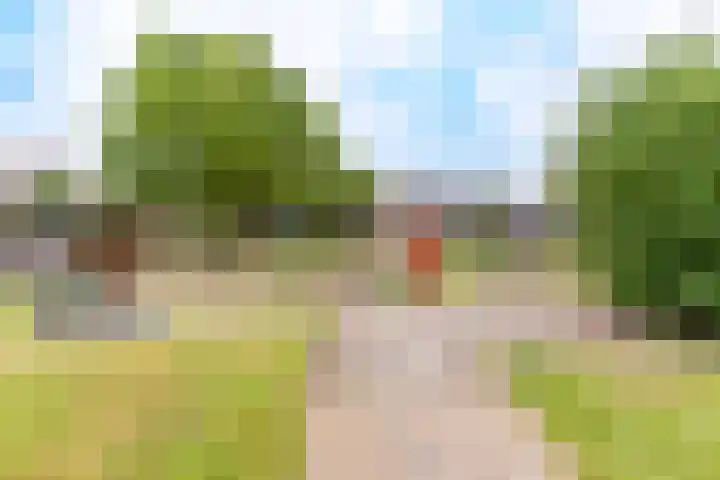 Goudvink 58 Nieuwegein thumbnail 38