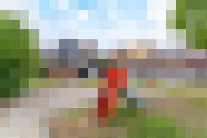 Goudvink 58 Nieuwegein thumbnail 39