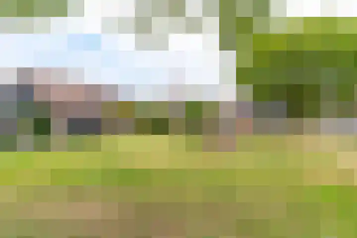 Goudvink 58 Nieuwegein thumbnail 40