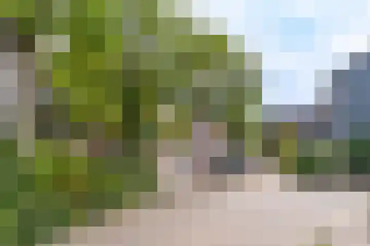 Goudvink 58 Nieuwegein thumbnail 41