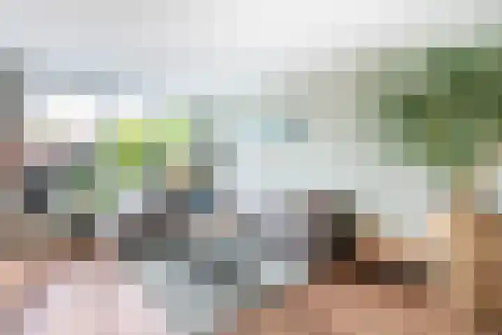 Goudvink 58 Nieuwegein thumbnail 9