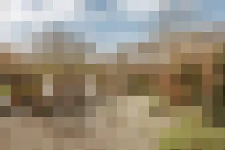 Goudvink 8 Heemskerk thumbnail 10