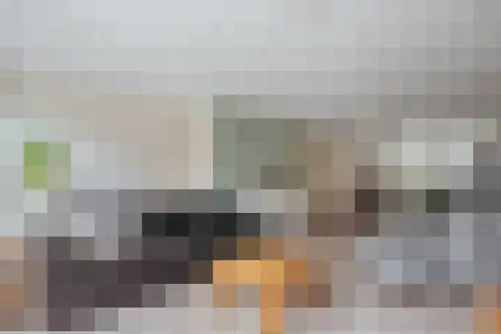 Goudvink 8 Heemskerk thumbnail 14