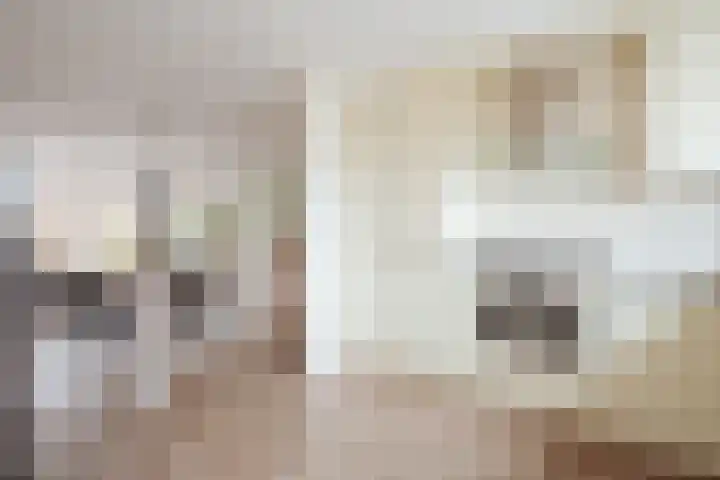 Goudvink 8 Heemskerk thumbnail 17