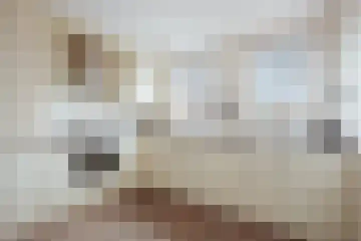 Goudvink 8 Heemskerk thumbnail 19