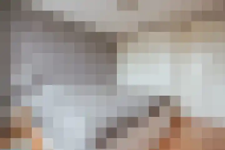 Goudvink 8 Heemskerk thumbnail 23